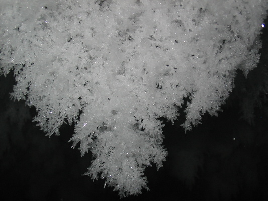 [20051118_019_HangingIceCrystals.jpg]
Large ice crystal formed on the roof of the underground ice core storage room; this one is about 30 cm long.