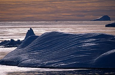 [OldBerg.jpg]
An old iceberg that has scrape marks from the bottom of the sea.