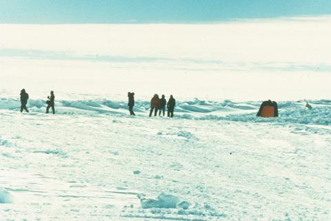 [jd321i.jpg]
View of 321 before excavation began. The tip of the tail is barely visible.