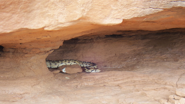 [20190420_174108_LookingGlass.jpg]
Before starting the route, watch for the many rattlesnakes in the holes at your feet.