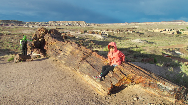 [20190429_180039_PetrifiedForest.jpg]
Some fossilized trees are over 100ft long.