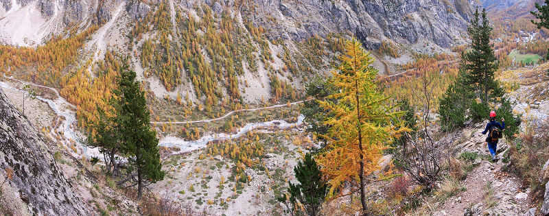 [20061031-PelvouxDescentPano.jpg]
Normal descent route from the traverse of Mt Pelvoux, shortly before reaching the ground.