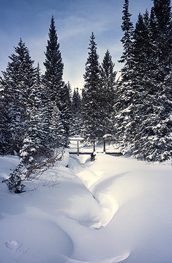 [Bridge.jpg]
Little snow covered wood bridge in the backcountry, Indian Peaks.