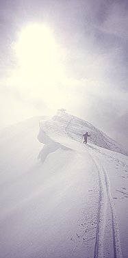 [SummitSteamboat.jpg]
An interesting summit above Columbine, near Steamboat Springs.