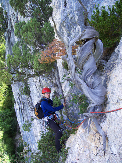 [20080614_125342_Saou.jpg]
First belay on 'A la recherche de l'Escarboucle' with a dead twisted tree.