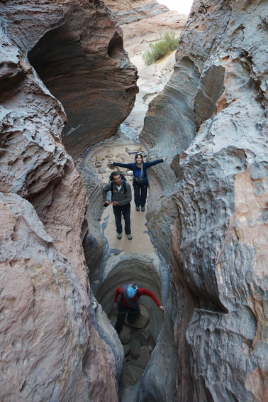 [20111106_065403_ThamudeanRd.jpg]
Going through narrow canyons carved by the rare waters of the area. Depending on the description, this route is alternatively named Western Safari, Nabatean Route or Thamudic Route. With alternate spellings.