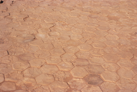 [20111108_125517_Petra.jpg]
Hexagonal tiles on the temple floor.