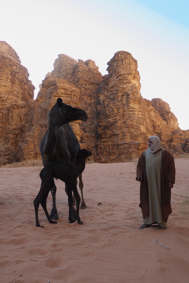 [20111114_072617_BabyCamel.jpg]
Our Guide, Abdullah, and his 3-day old baby camel.