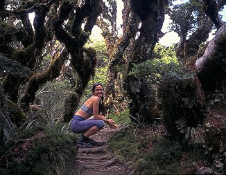 [RainForest.jpg]
Hiking the rainforest.