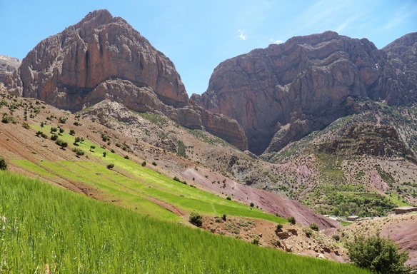 [20120501_141313_Taghia.jpg]
Wheat fields above the village, with Oujdad and Tagoujimt.