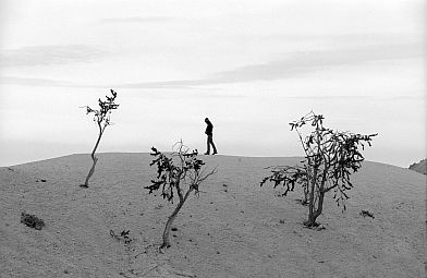 [BW_TreeHorizon.jpg]
Jenny walking by an empty horizon with crawny trees clinging to the dry Bryce Canyon rock.