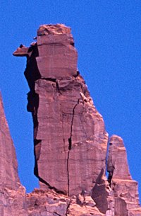 [UnknownTowerCloseup.jpg]
Unknown penguin looking tower.