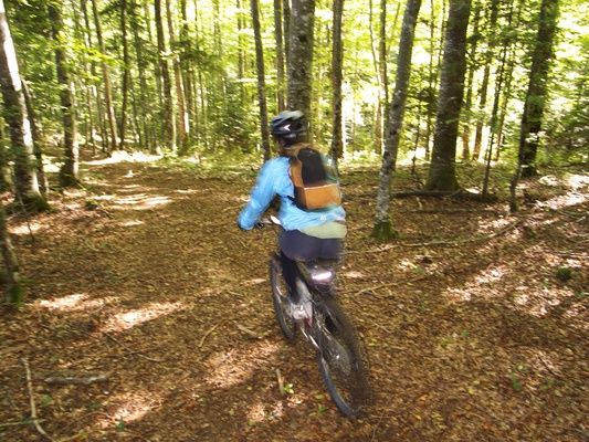 [20070905-103635_VercorsBike.jpg]
Mountain biking through the woods of the Vercors.