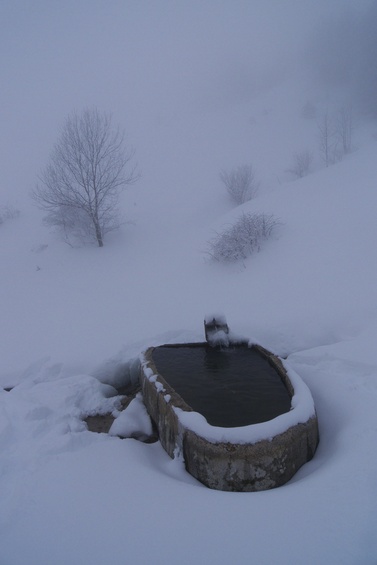 [20100110_144717_DrayeCommunaux.jpg]
Fountain of the Sornin.