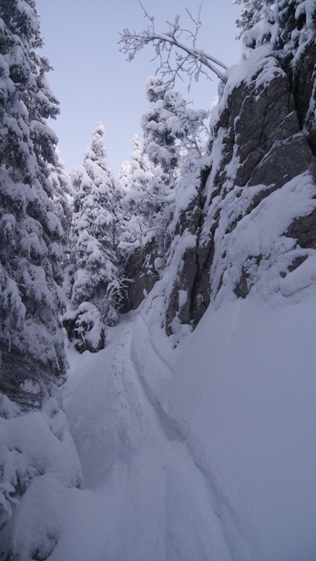 [20100110_170713_DrayeCommunaux.jpg]
Trying to find my way down, jumping multiple small cliffs.