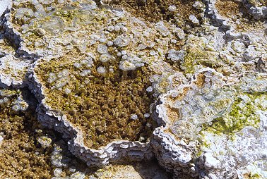 [Multicolor.jpg]
Multi colored spring in Yellowstone.