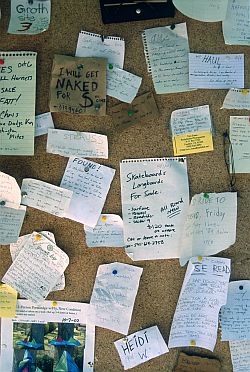 [Camp4Board.jpg]
Camp 4 bulletin board: 'Will get naked for cams', '4 $ale, slightly used cams picked up at base of El Cap' and more for every climber's wish.