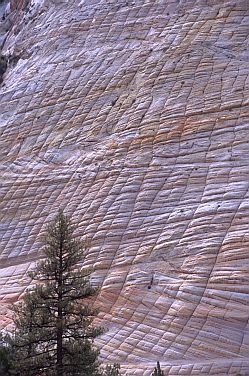 [ErodedRock.jpg]
Naturally carved rock.