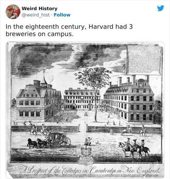 [HarvardBreweries.jpg]
Harvard breweries