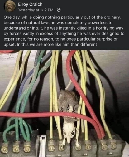 [RatCurrent.jpg]
Rat current