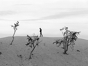 Jenny, 3 trees and limitless horizon. Bryce Canyon