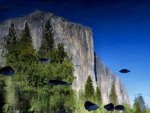 El Capitan reflected in the Merced river