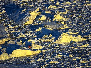 Human and penguin figures on floating ice, Dumont d'Urville