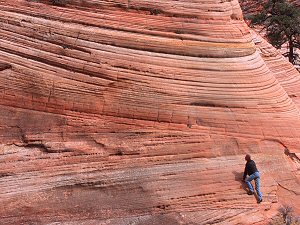 Wavy sand formations, Zion