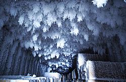 CrystalsIceCave4 - Ice crystals hanging from the roof of an underground storage area.
[ Click to download the free wallpaper version of this image ]