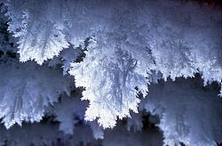 IceCrystals4 - Large crystal hanging from the ceiling of an underground storage area.
[ Click to go to the page where that image comes from ]