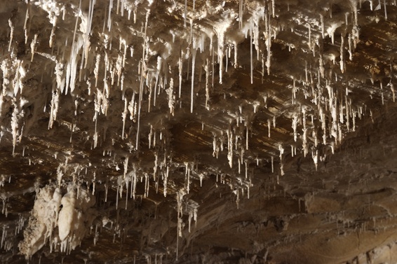 [20070623_135145_ChorancheCave.jpg]
Tiny stalactites hanging from the roof of the cave.